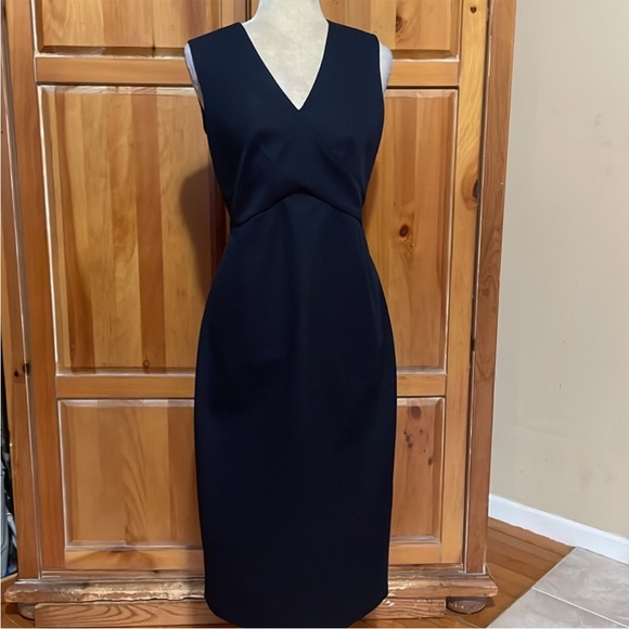 NWOT TED BAKER ELENIII SLEEVELESS V-NECK FITTED DRESS SZ US 8/10 OR TWD SZ 3 - Picture 2 of 6